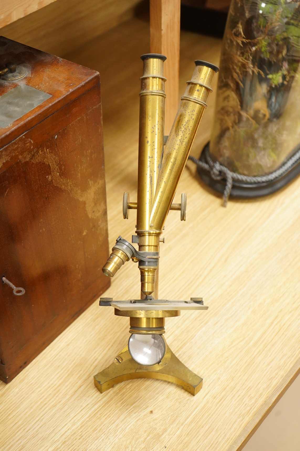 A late 19th century brass compound binocular microscope, by R. & J. Beck, London, number 13654, mahogany cased, together with accessories, including a pair of eye pieces and three objectives. Instrument height 39cm